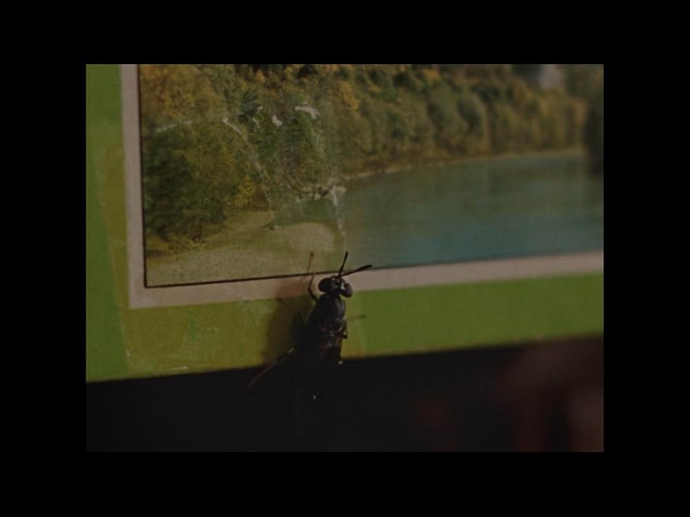 Ray & Liz（原題）の画像