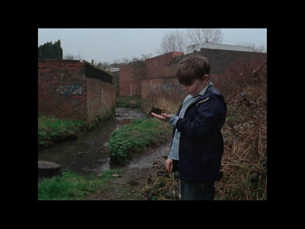 Ray & Liz（原題）の画像