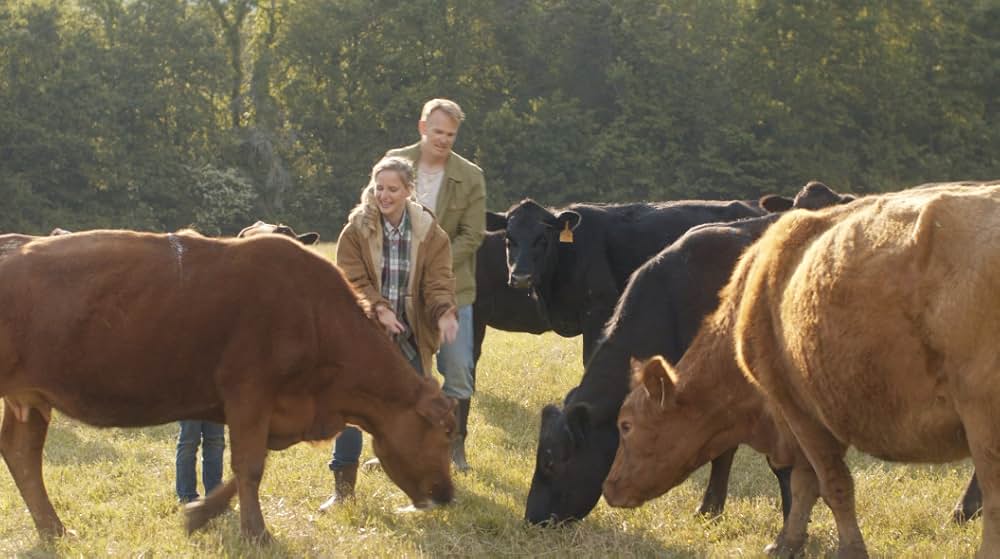 エターナル・ロマンス ジョージアの奇跡の画像