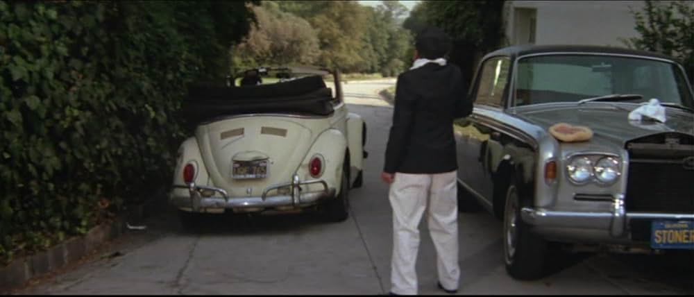 チーチ&チョン スモーキング作戦の画像