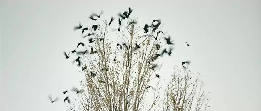 昔々、アナトリアでの画像