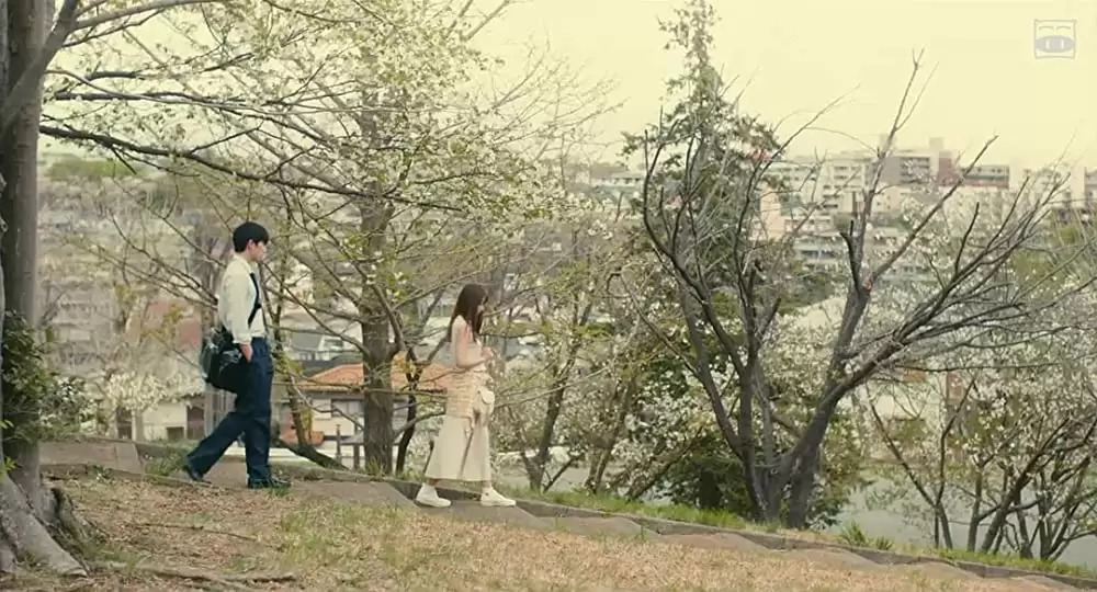 ピーチガールの画像