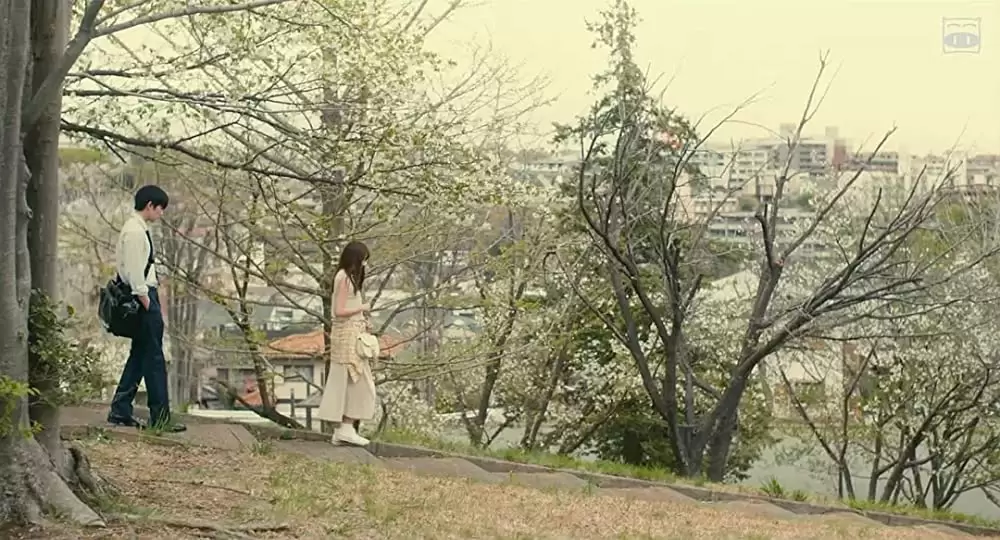 ピーチガールの画像