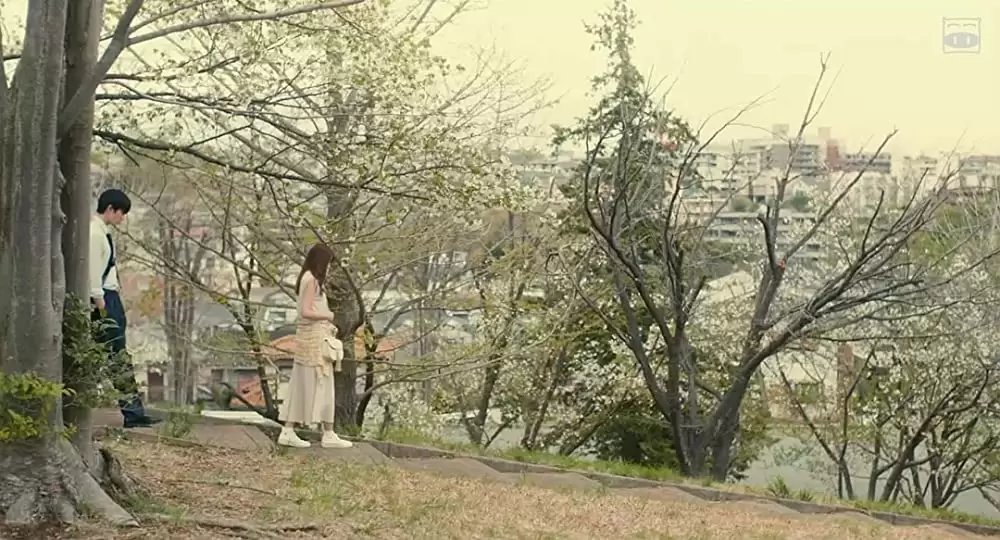 ピーチガールの画像