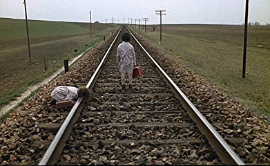 ミツバチのささやきの画像