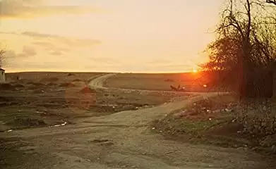 ミツバチのささやきの画像