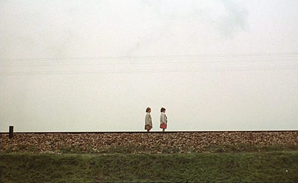 ミツバチのささやきの画像