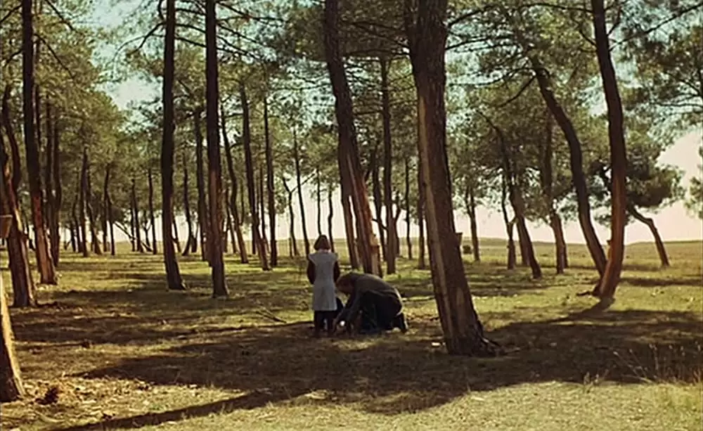 「ミツバチのささやき」フェルナンド・フェルナン・ゴメス & アナ・トレントの画像