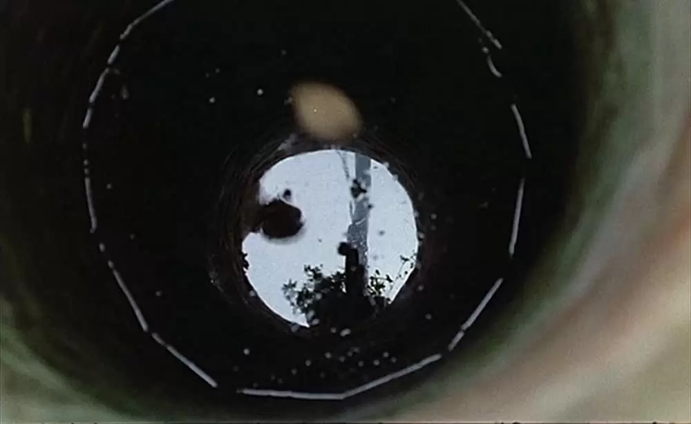 ミツバチのささやきの画像