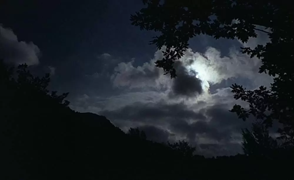 ミツバチのささやきの画像