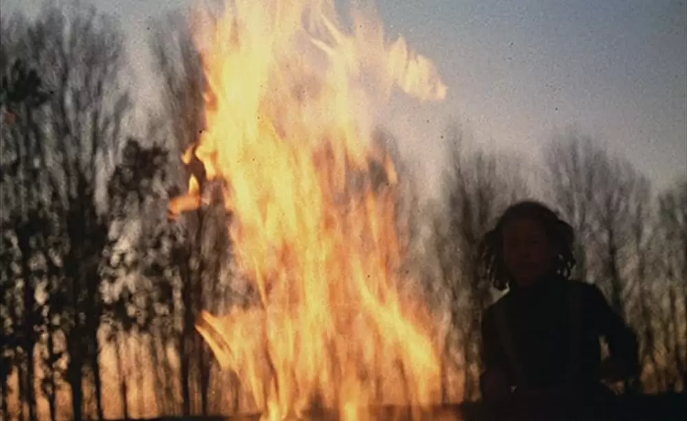 ミツバチのささやきの画像