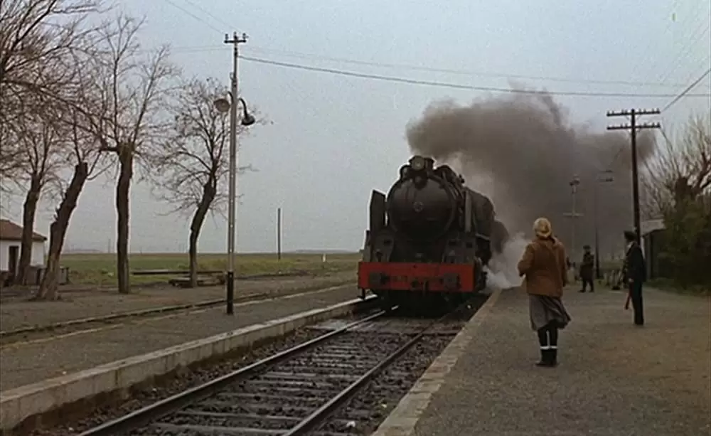 ミツバチのささやきの画像