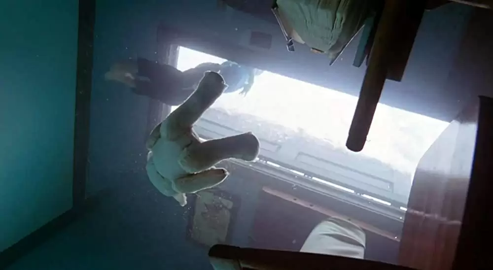 ツリー・オブ・ライフの画像