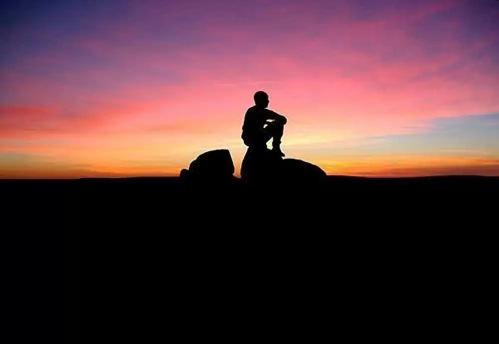 ツリー・オブ・ライフの画像