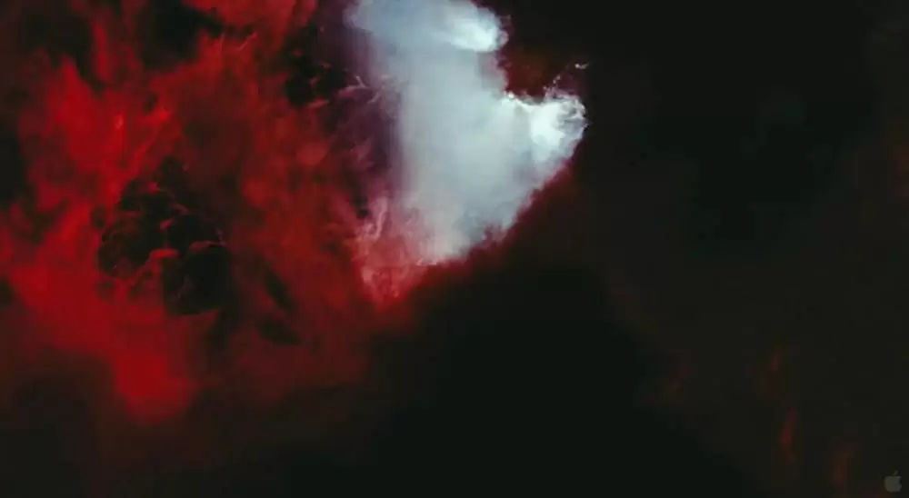 ツリー・オブ・ライフの画像