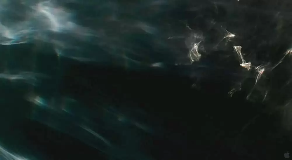 ツリー・オブ・ライフの画像