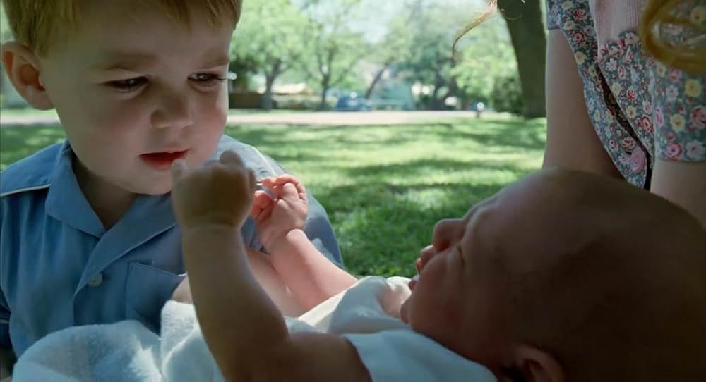 ツリー・オブ・ライフの画像