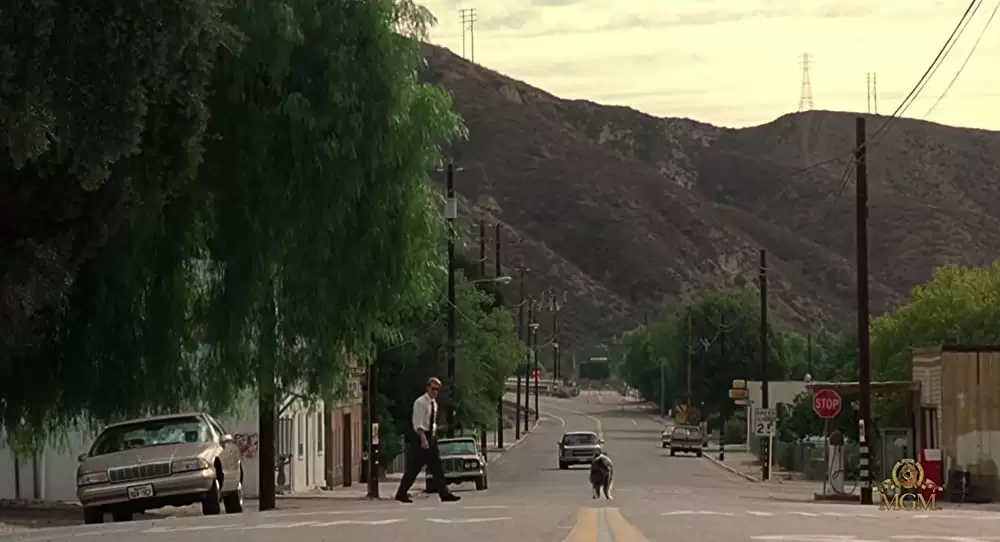 水曜日に抱かれる女の画像