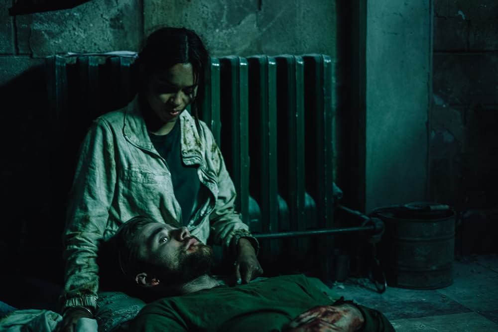 Wildcat（原題）の画像