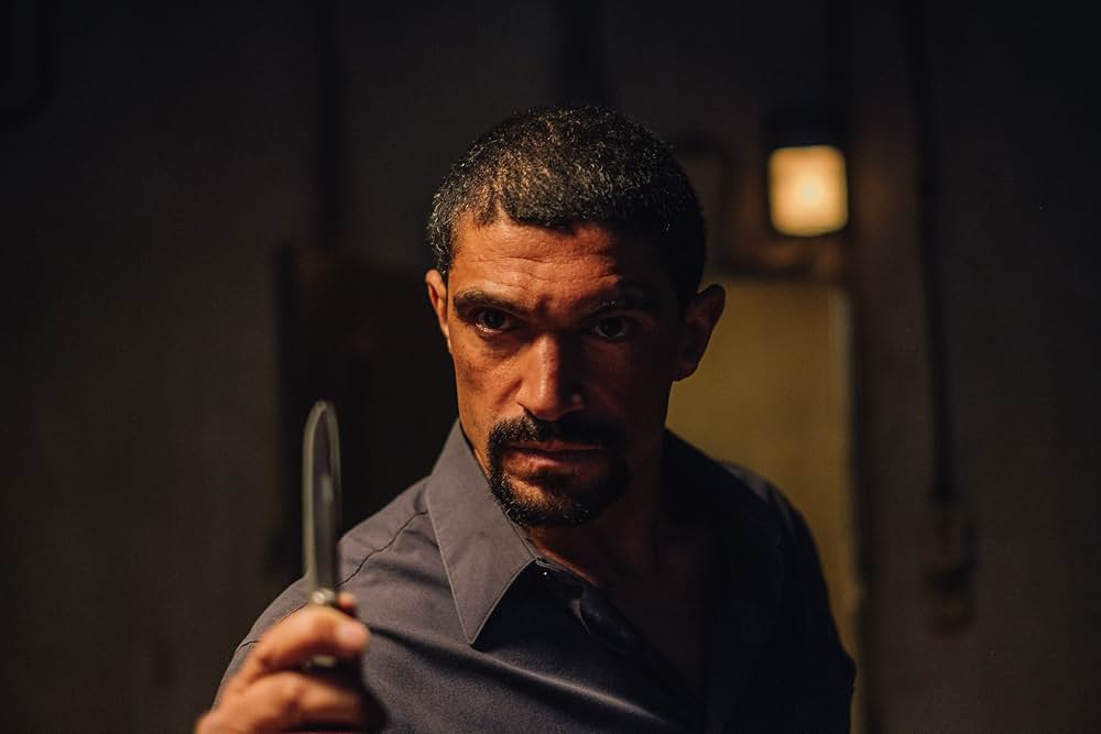 Wildcat（原題）の画像