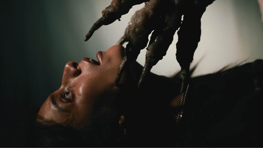 No Me Sigas（原題）の画像