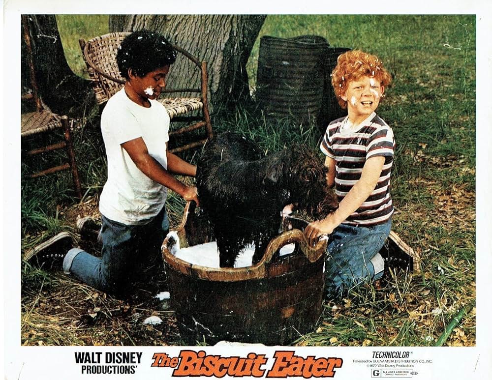 The Biscuit Eater（原題）の写真