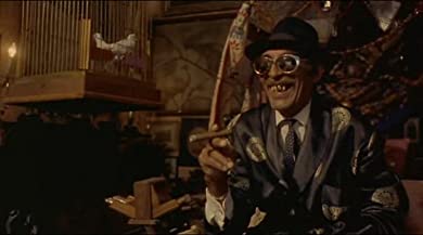 黒猫・白猫の画像