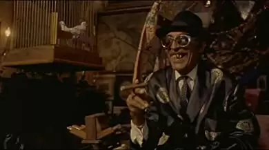 黒猫・白猫の画像