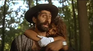 黒猫・白猫の画像