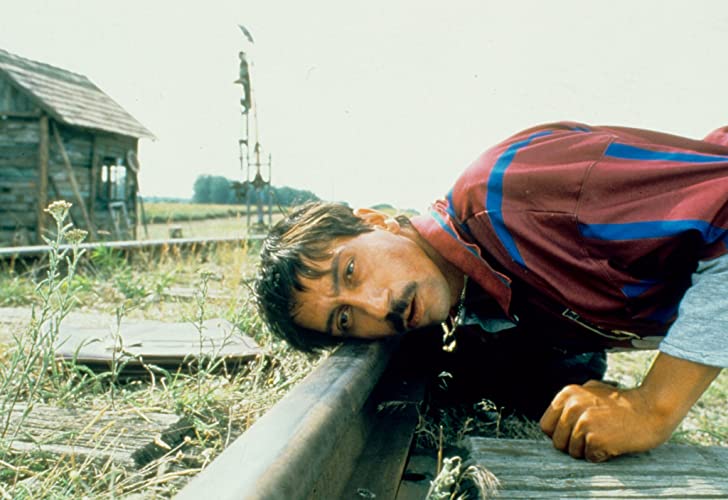 黒猫・白猫の画像