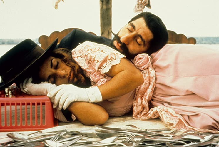 黒猫・白猫の画像