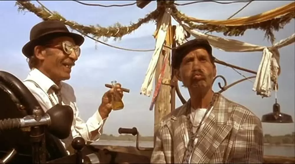 黒猫・白猫の画像