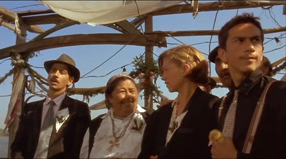 黒猫・白猫の画像