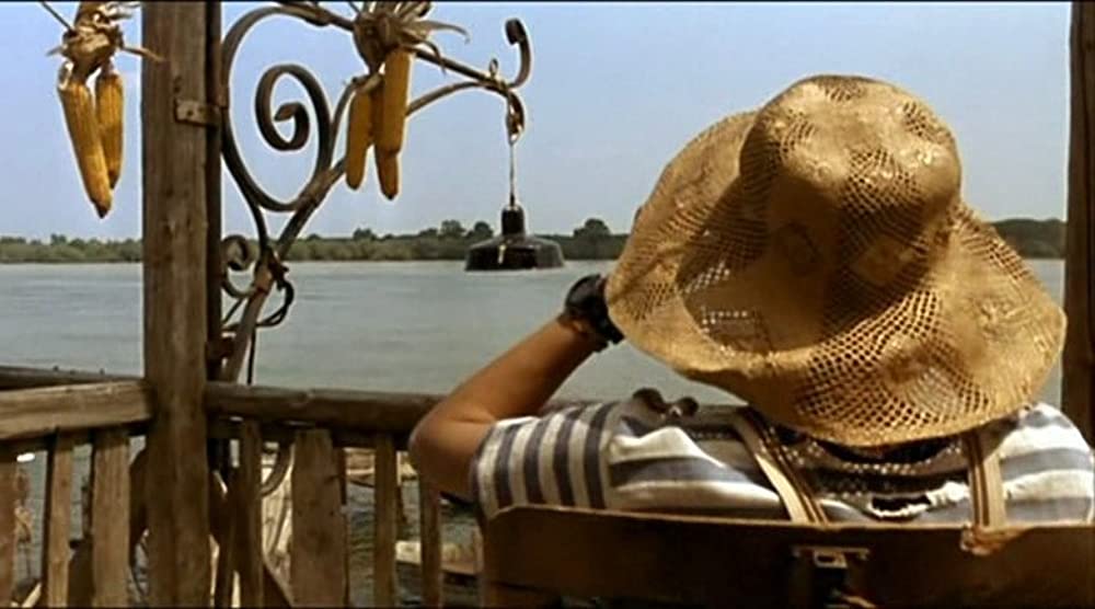 黒猫・白猫の画像