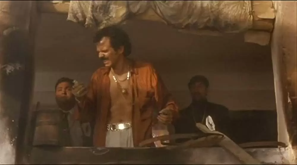 黒猫・白猫の画像