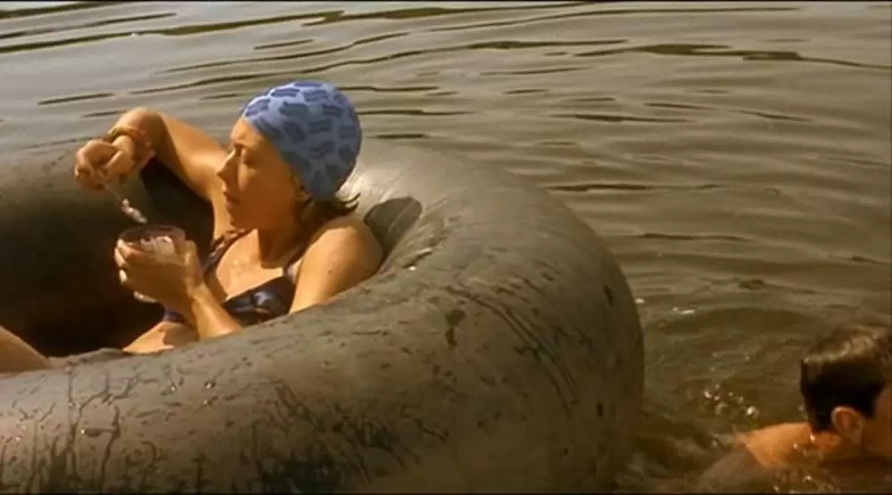 黒猫・白猫の画像