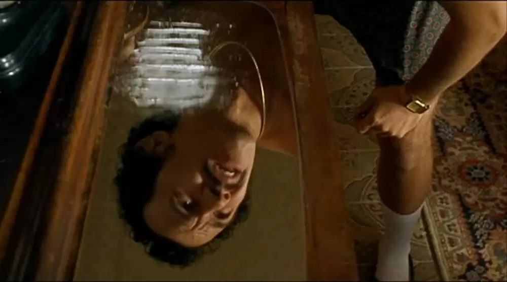 黒猫・白猫の画像