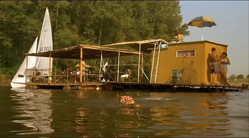 黒猫・白猫の画像