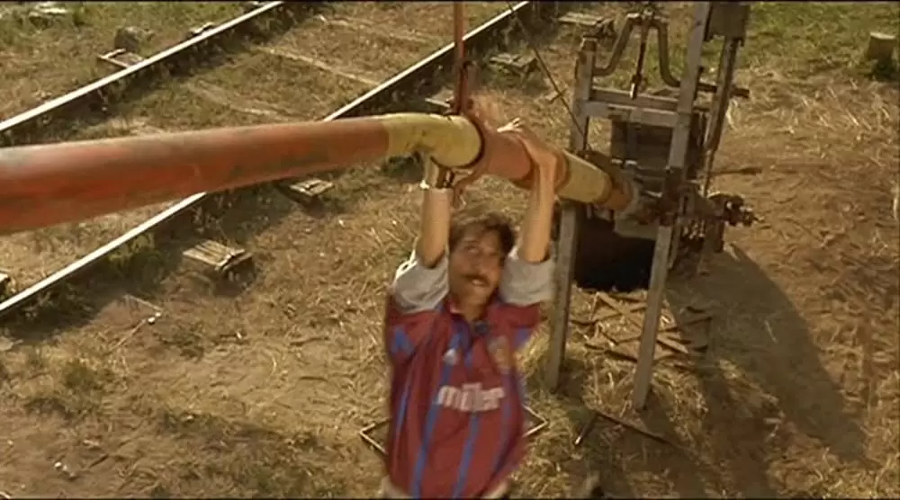 黒猫・白猫の画像