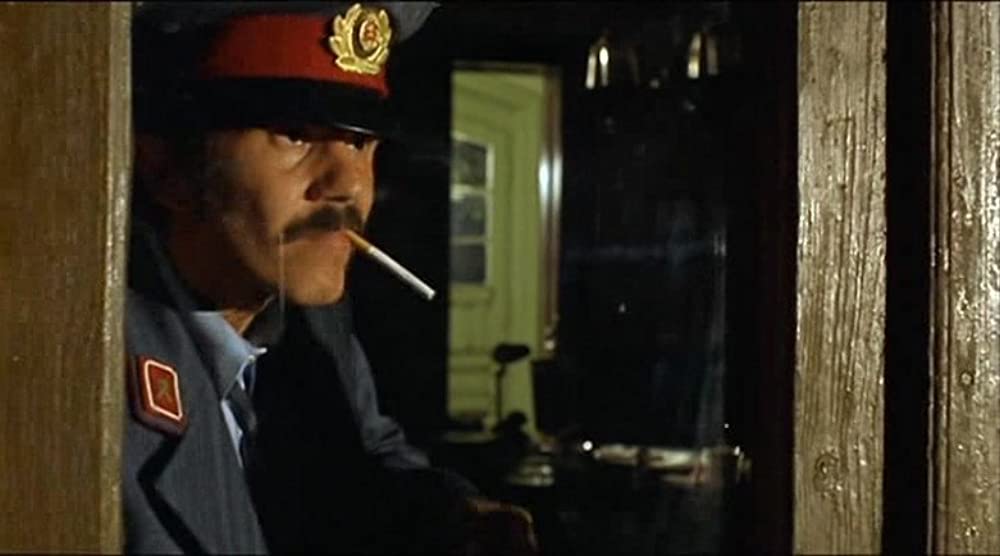 黒猫・白猫の画像