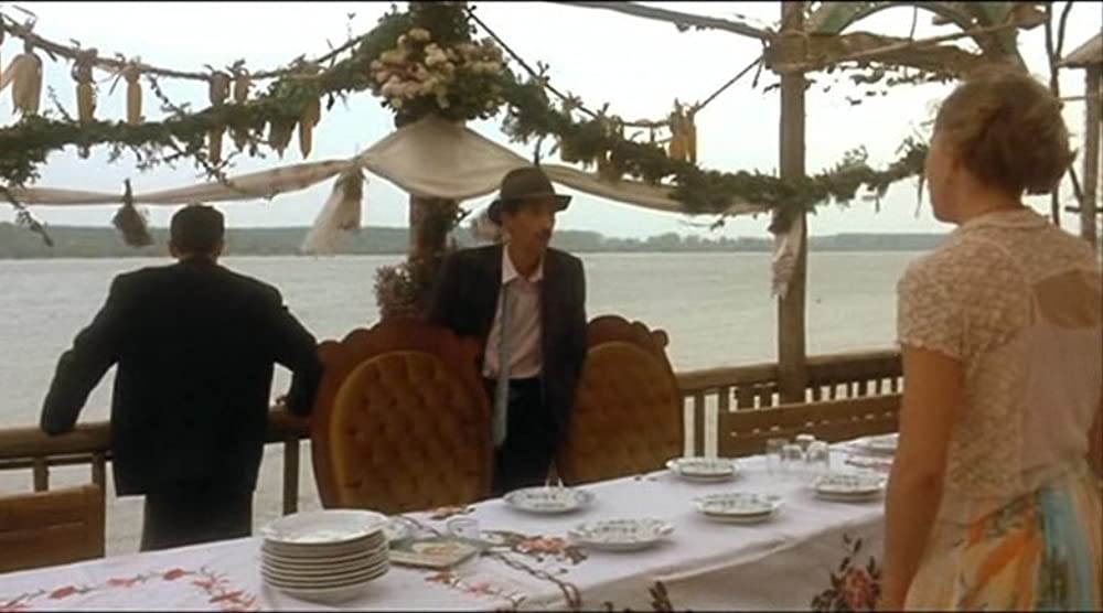 黒猫・白猫の画像