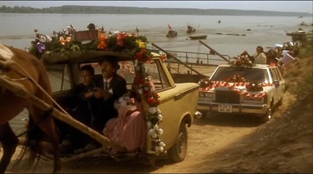 黒猫・白猫の画像