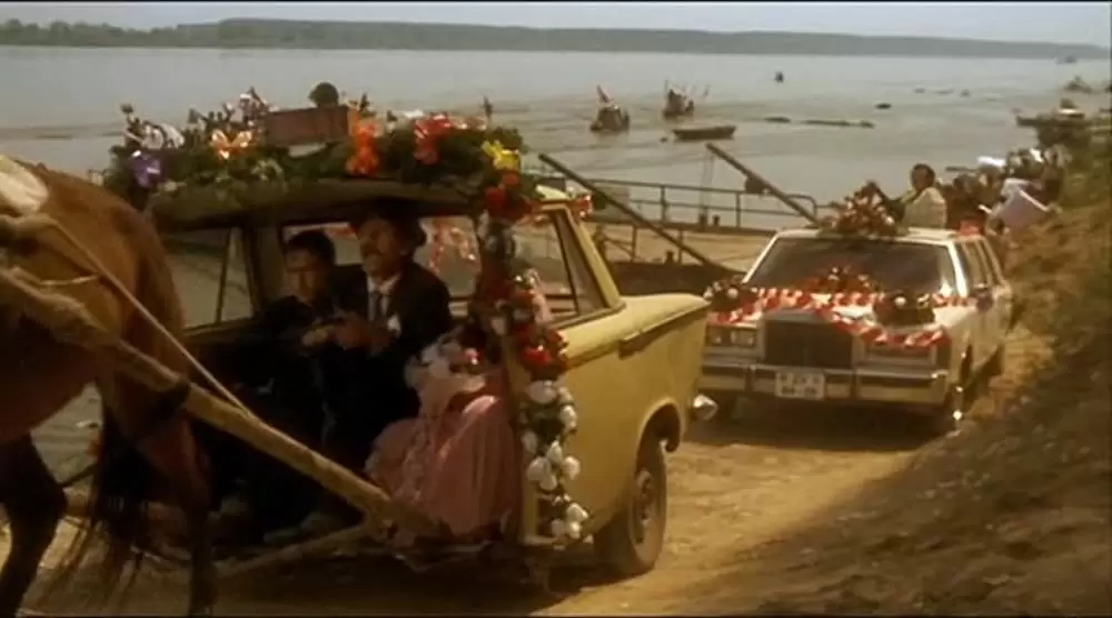 黒猫・白猫の画像