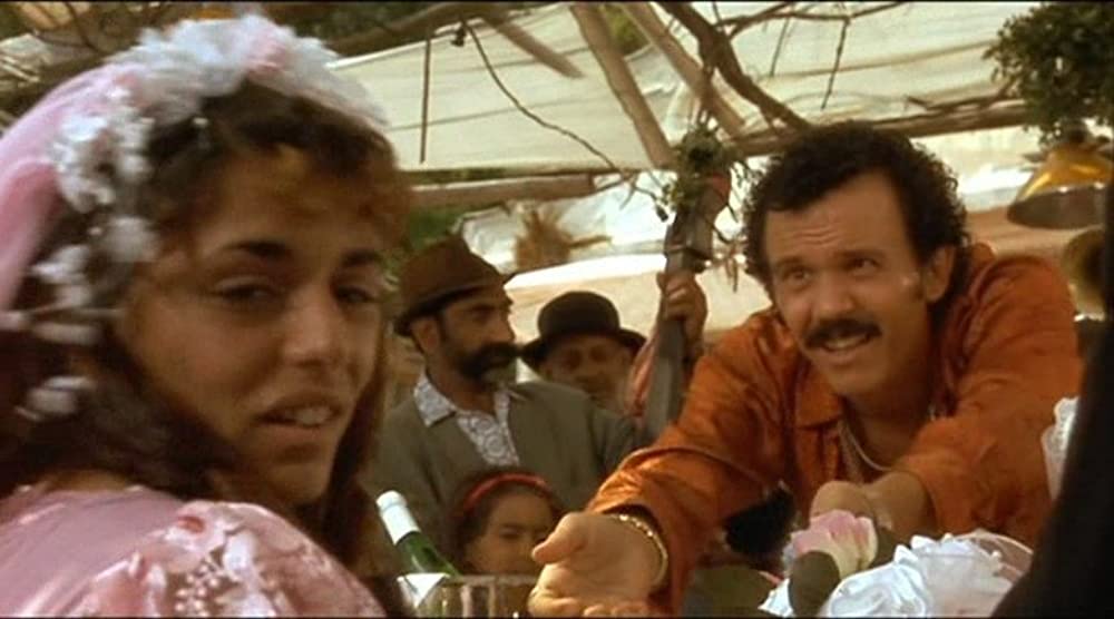 黒猫・白猫の画像