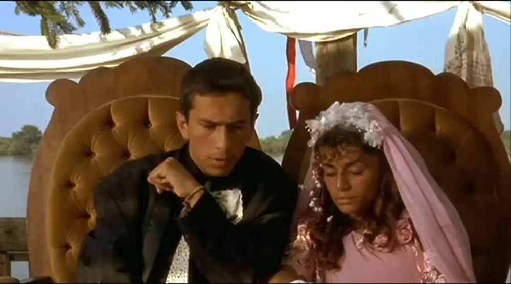 黒猫・白猫の画像