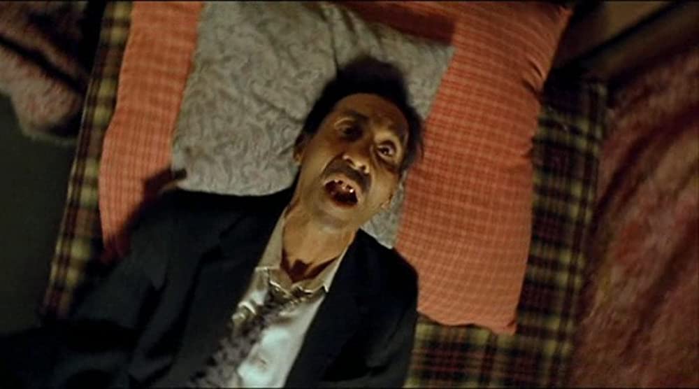 黒猫・白猫の画像