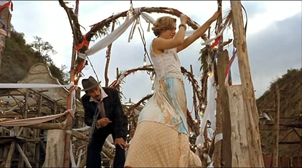 黒猫・白猫の画像