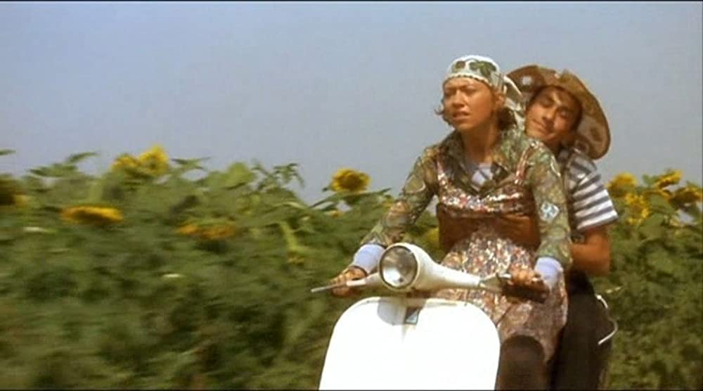 黒猫・白猫の画像