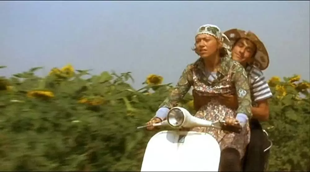 黒猫・白猫の画像