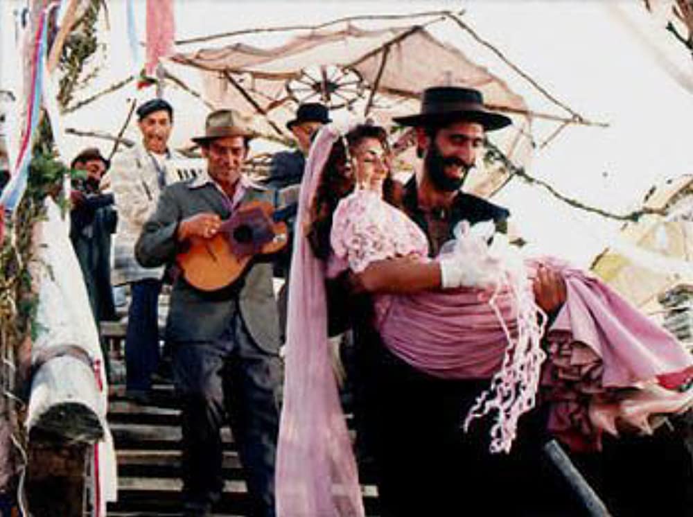 黒猫・白猫の画像